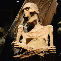 Mumien von Guanajuato