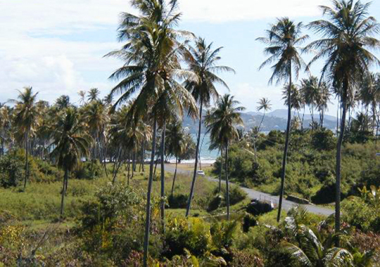 Atlantikstrand Tobago